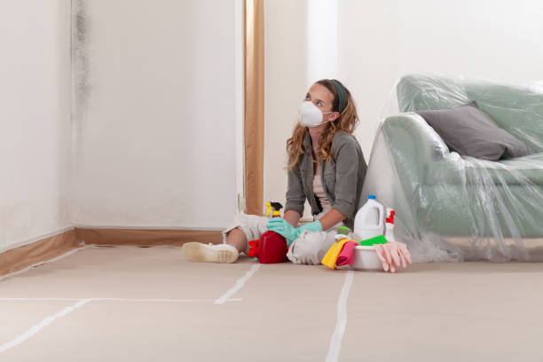 Reliable Basement Mold Remediation contractor in Ledgewood, NJ by Car Mold Remediation